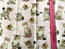 Lade das Bild in den Galerie-Viewer, Nachhaltige Bio Alpaka Wohlfühl/Kuschel Kissen